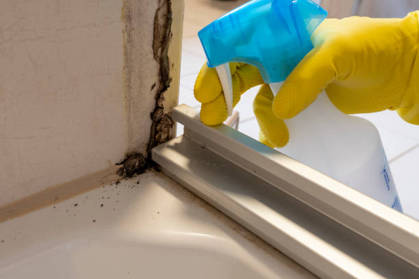 Best Bathroom Mold Remediation in Deville, AL